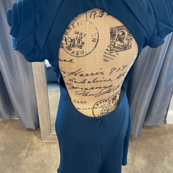 ABS rose sleeved dress - Picture 12 of 15